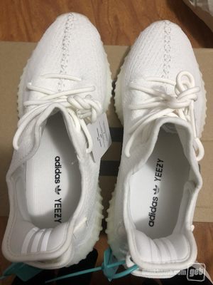 阿迪达斯 椰子350