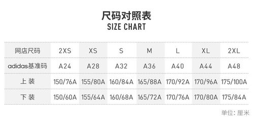 衣服xl多大