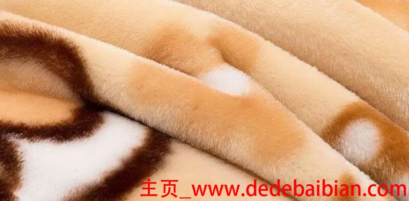拉舍尔是什么面料